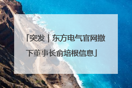 突发｜东方电气官网撤下董事长俞培根信息