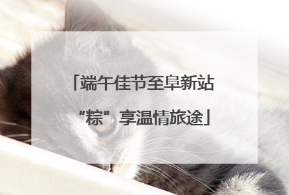 端午佳节至阜新站“粽”享温情旅途