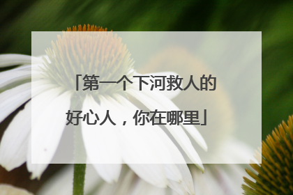 第一个下河救人的好心人，你在哪里