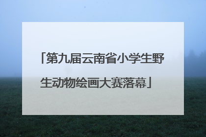 第九届云南省小学生野生动物绘画大赛落幕