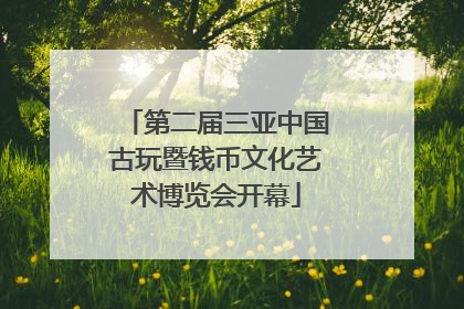 第二届三亚中国古玩暨钱币文化艺术博览会开幕