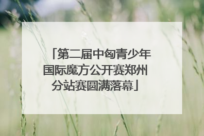 第二届中匈青少年国际魔方公开赛郑州分站赛圆满落幕