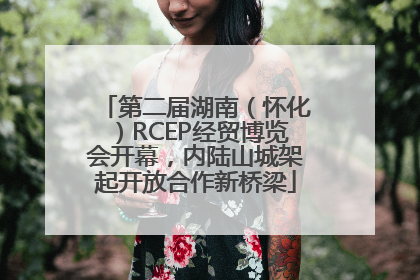 第二届湖南（怀化）RCEP经贸博览会开幕，内陆山城架起开放合作新桥梁