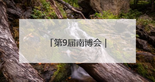 第9届南博会｜昆明高水平打造对外开放新高地