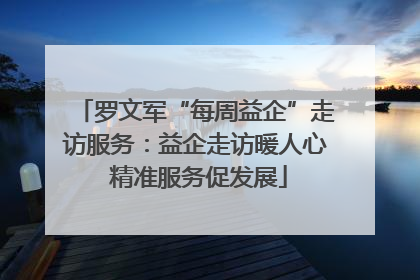罗文军“每周益企”走访服务：益企走访暖人心 精准服务促发展