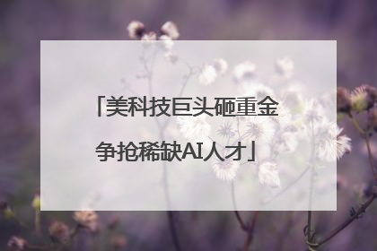 美科技巨头砸重金争抢稀缺AI人才