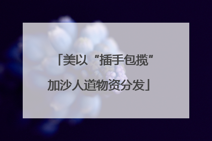 美以“插手包揽”加沙人道物资分发