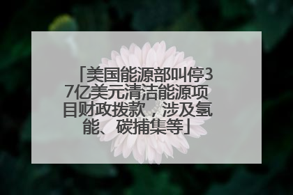 美国能源部叫停37亿美元清洁能源项目财政拨款，涉及氢能、碳捕集等