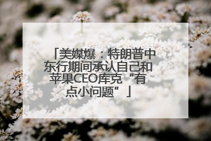 美媒爆：特朗普中东行期间承认自己和苹果CEO库克“有点小问题”