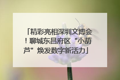 精彩亮相深圳文博会！聊城东昌府区“小葫芦”焕发数字新活力