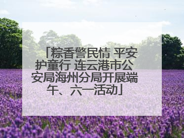 粽香警民情 平安护童行 连云港市公安局海州分局开展端午、六一活动