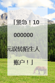 紧急！10000000元误转陌生人账户！