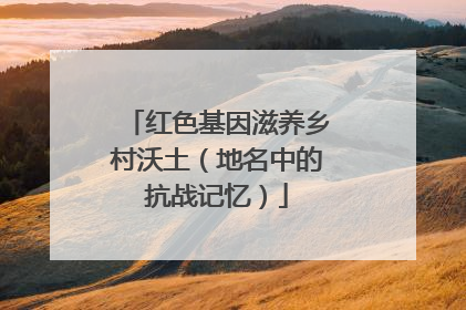 红色基因滋养乡村沃土（地名中的抗战记忆）