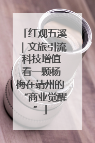 红观五溪｜文旅引流 科技增值 看一颗杨梅在靖州的“商业觉醒”