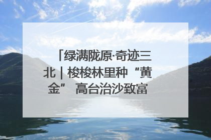 绿满陇原·奇迹三北｜梭梭林里种“黄金” 高台治沙致富很“从容”