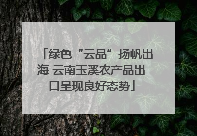 绿色“云品”扬帆出海 云南玉溪农产品出口呈现良好态势