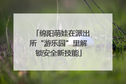 绵阳萌娃在派出所“游乐园”里解锁安全新技能