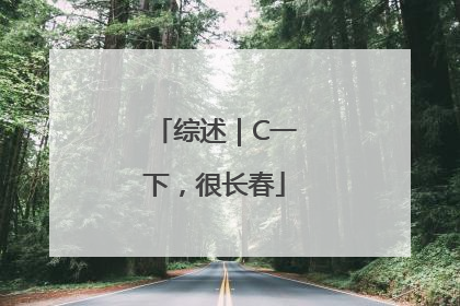 综述｜C一下，很长春
