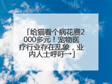 给猫看个病花费2000多元！宠物医疗行业存在乱象，业内人士呼吁→