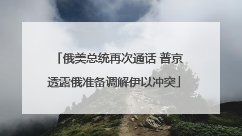 俄美总统再次通话 普京透露俄准备调解伊以冲突