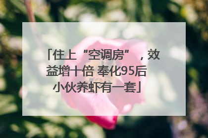 住上“空调房”，效益增十倍 奉化95后小伙养虾有一套
