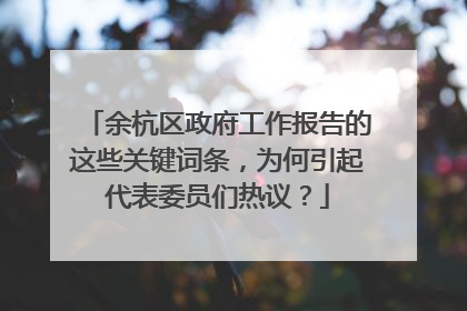 余杭区政府工作报告的这些关键词条，为何引起代表委员们热议？
