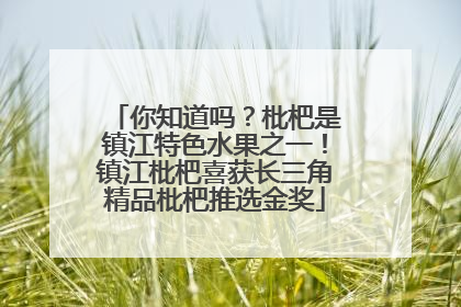 你知道吗？枇杷是镇江特色水果之一！镇江枇杷喜获长三角精品枇杷推选金奖