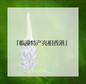 临潼特产亮相香港
