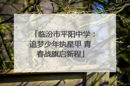 临汾市平阳中学：追梦少年执星甲 青春战旗启新程
