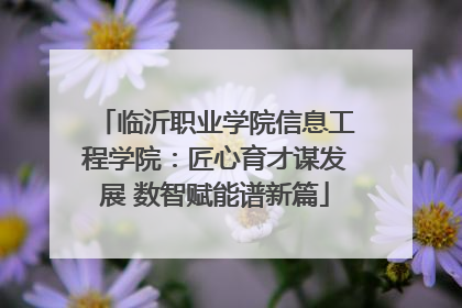 临沂职业学院信息工程学院：匠心育才谋发展 数智赋能谱新篇