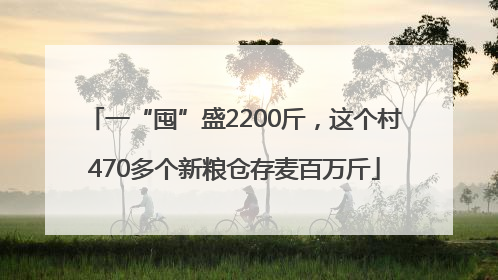 一“囤”盛2200斤，这个村470多个新粮仓存麦百万斤