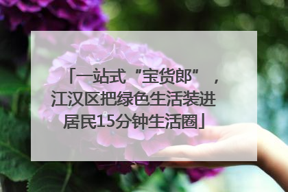 一站式“宝货郎”，江汉区把绿色生活装进居民15分钟生活圈