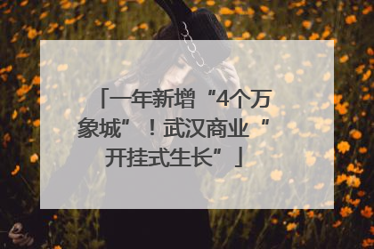 一年新增“4个万象城”！武汉商业“开挂式生长”