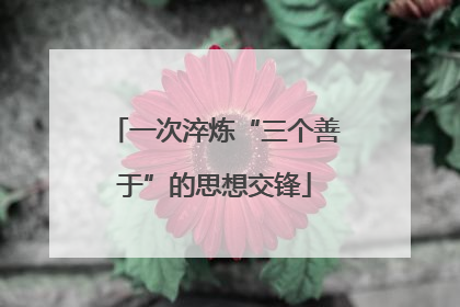 一次淬炼“三个善于”的思想交锋