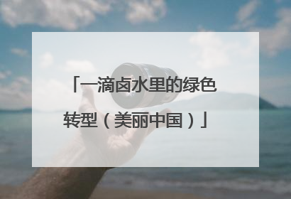 一滴卤水里的绿色转型（美丽中国）