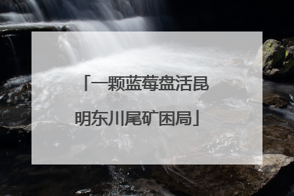 一颗蓝莓盘活昆明东川尾矿困局