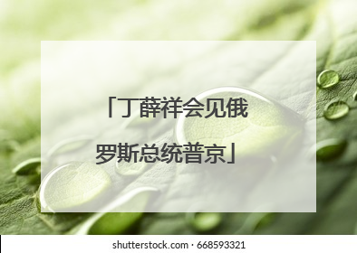 丁薛祥会见俄罗斯总统普京