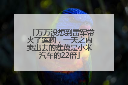 万万没想到雷军带火了莲藕，一天之内卖出去的莲藕是小米汽车的22倍