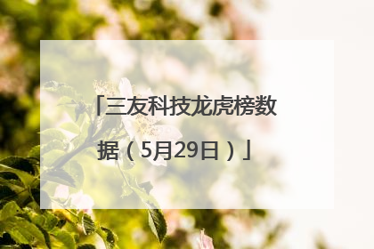 三友科技龙虎榜数据（5月29日）