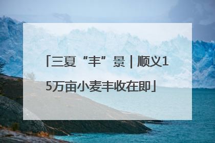 三夏“丰”景｜顺义15万亩小麦丰收在即