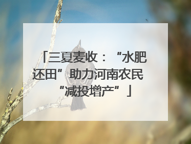三夏麦收：“水肥还田”助力河南农民“减投增产”