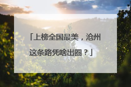 上榜全国最美，沧州这条路凭啥出圈？