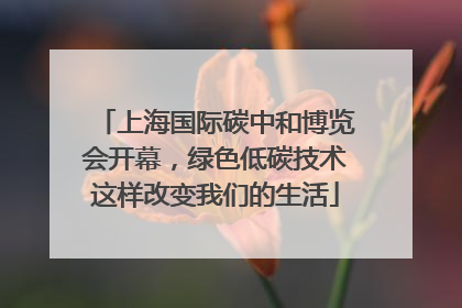 上海国际碳中和博览会开幕，绿色低碳技术这样改变我们的生活