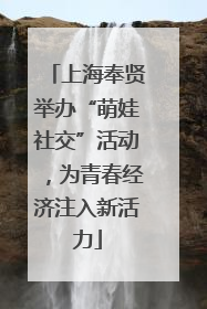 上海奉贤举办“萌娃社交”活动，为青春经济注入新活力