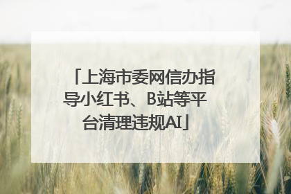 上海市委网信办指导小红书、B站等平台清理违规AI