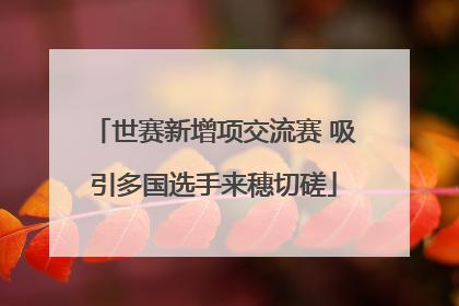 世赛新增项交流赛 吸引多国选手来穗切磋
