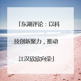 东湖评论：以科技创新聚力，推动江汉欣欣向荣