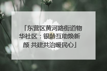 东营区黄河路街道物华社区：银龄互助焕新颜 共建共治暖民心