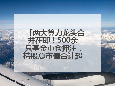 两大算力龙头合并在即！500余只基金重仓押注，持股总市值合计超380亿元