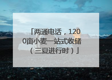 两通电话，1200亩小麦一站式收储（三夏进行时）